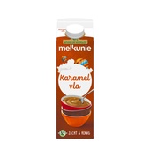 Melkunie Melkunie Vla Caramel
