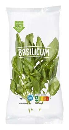 Basilicum Vers