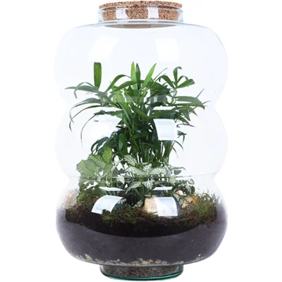 AH Terrarium ring rondingen L