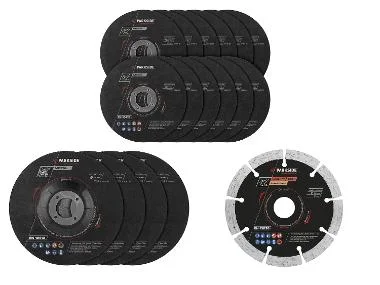 PARKSIDE PERFORMANCE® Slijpschijven 125 mm