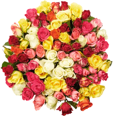 PLUS Rozen bont mix