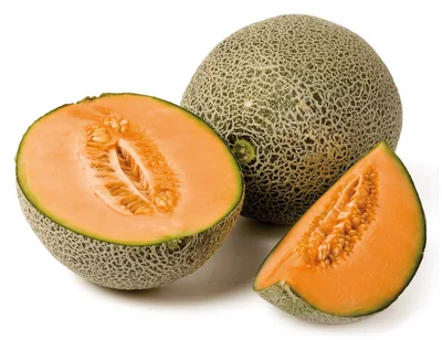 PLUS Cantaloupe meloen