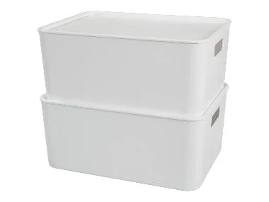 Opbergboxen met deksel 11 L - 2 stuks