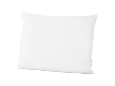 LIVARNO® Donzen hoofdkussen 60 x 70 cm
