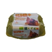 Bio+ Biologische eieren s/m/l (6 st)
