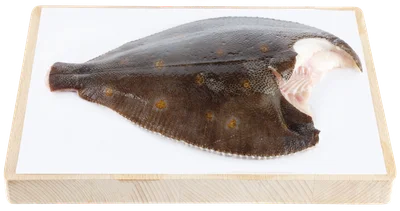 SEA FRESH Hele schol