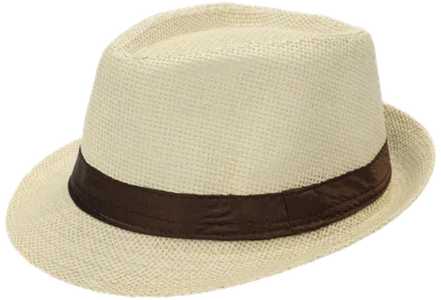 Hoed borsalino assorti