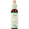 Bach Bloesem Essence Walnut 20 ML