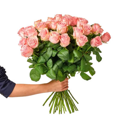 AH Roze rozen x30