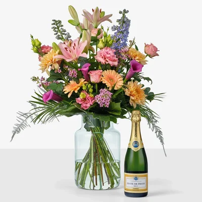 AH Vrolijk pastel middel champagne
