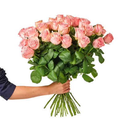 AH Roze rozen x25