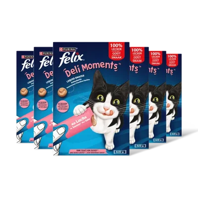 Felix Deli moments liquid snacks zalm 6-pack