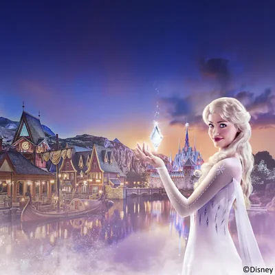  Disney 4 personen categorie c
