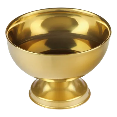 AH Excellent RVS coupe goud