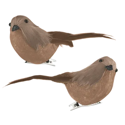 AH Excellent Vogeltjes op clip bruin