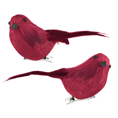 AH Excellent Vogeltje op clip rood