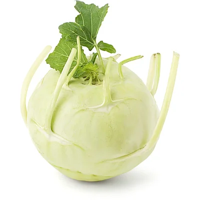 AH Koolrabi