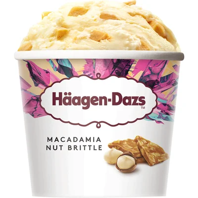 Häagen-Dazs Macadamia nut brittle