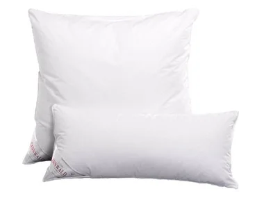 Sannwald hoofdkussen met veren en dons