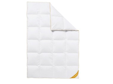 Balette deLuxe ganzendons cassette dekbed Gold Edition extra warm