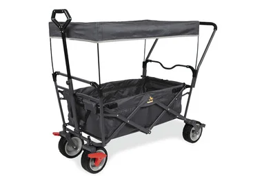 Pinolino Bolderkar Paddy