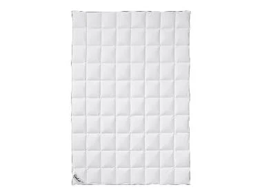 Fjödur Donzen zomer dekbed licht