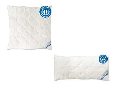 BeCo Hoofdkussen EcoWell - microvezel