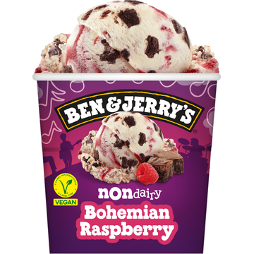 Ben & Jerry's Non dairy bohemian raspberry