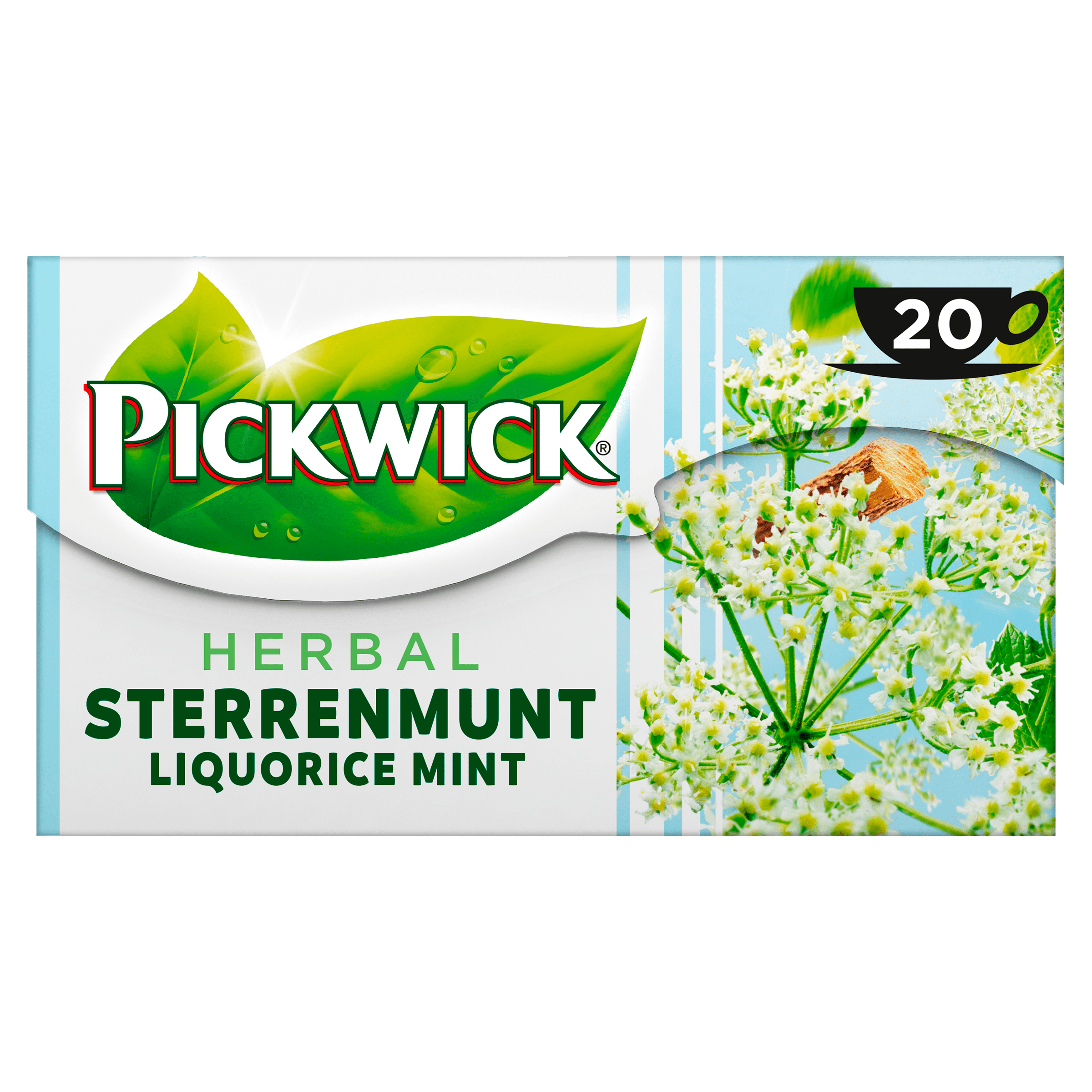 Pickwick Herbal sterrenmunt 4-pack